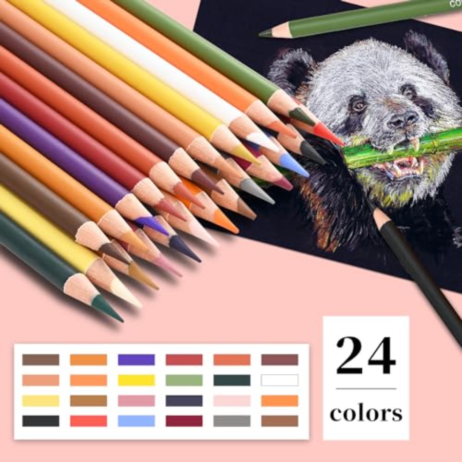 色付き木炭鉛筆描画セット、24色の肌色パステルチョーク鉛筆、 - Chalk Pastel Set のレビューと価格